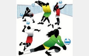 Tournoi de Volley-Ball