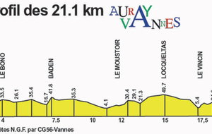 Le profil du Semi Marathon de Vannes pour info.....