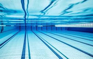 Reprise de la section natation 2017/2018