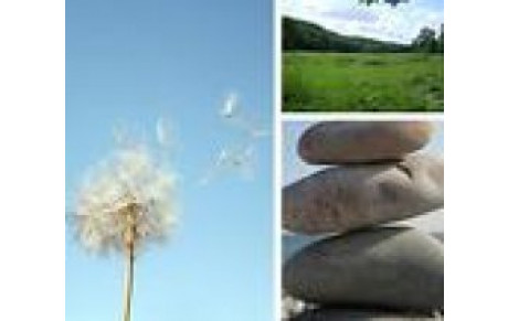 La sophrologie est de retour au CSLG de VANNES.