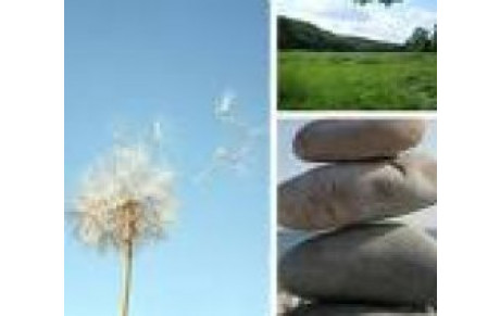 LA SOPHROLOGIE AU CSLG VANNES