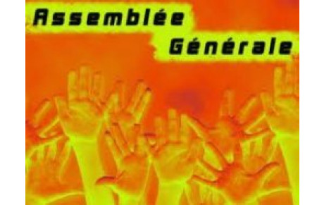 AG du CSLG VANNES le mardi 28 JUIN 2011 à 18H00