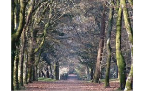 LES FOULEES DE KEROZER LE 30/09/12