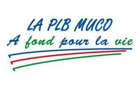 CRITÉRIUM NATIONAL DE CYCLISME de la FÉDÉRATION des CLUBS de la DÉFENSE Le 29 juin 2013 à CALLAC (22)