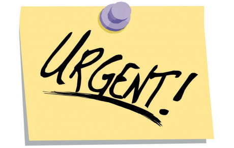 REPRISE DES ACTIVITES