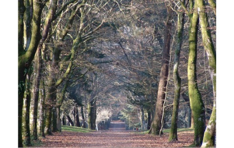 Les foulées Gendarmerie Police du Morbihan