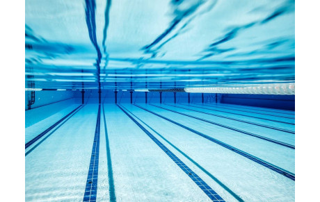 Reprise de la section natation 2017/2018